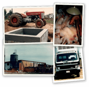 jims-farm-meat-heritage-old-photos-collage